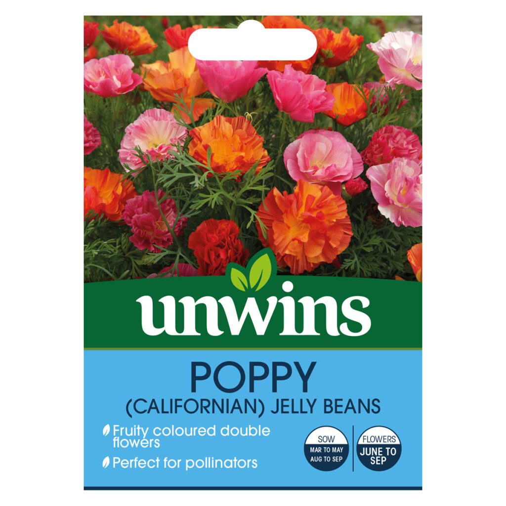 Unwins California Poppy XL Jelly Beans Seeds 5051618016131 2